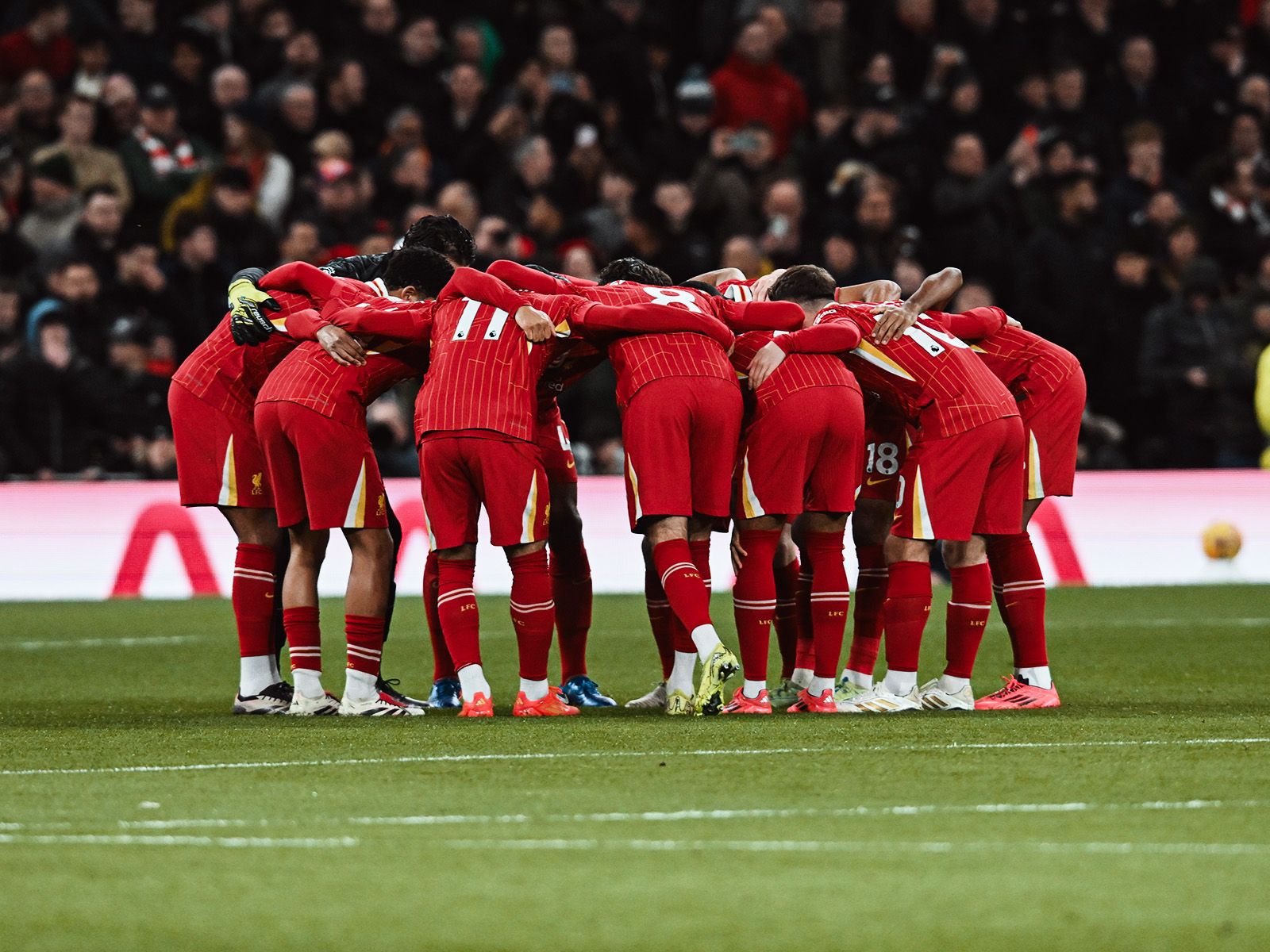 的开场剧本 的开场剧本